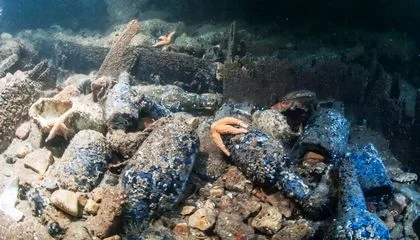Shipwreck Divers Discovered a 162-Year-Old Bottle of Guinness Brewed During the Reign of Queen Victoria—and They Want to Take a Swig