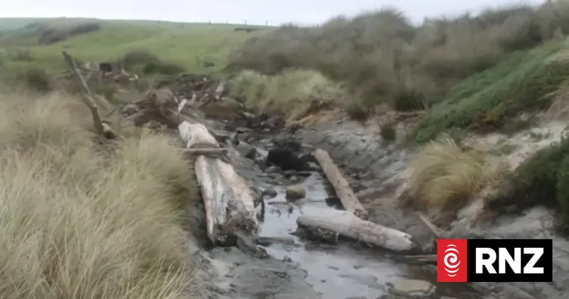 Judge rules Crown must protect buried remains of ancient waka in Chatham Islands