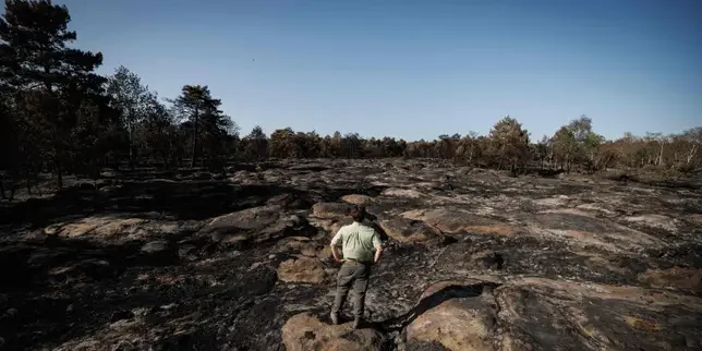 Fontainebleau forest near Paris set to reopen after wildfire