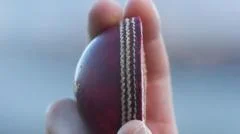 Tongue & Robinson cut ball in half to celebrate five-wicket hauls