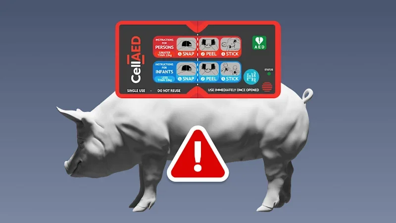 Tested on pigs, bad data but given to ambos anyway: Homegrown defibrillator’s red flags