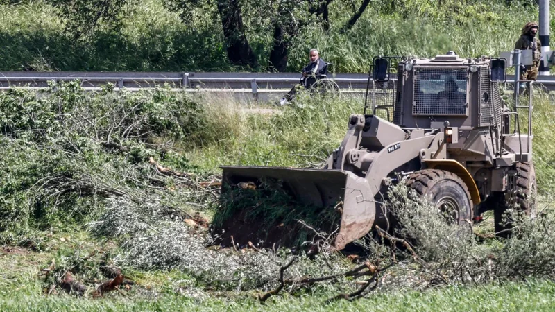 Israeli bulldozers uproot West Bank olive trees ahead of harvest season