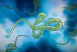 Congo's Largest Ebola Outbreak Tops 5,000 Cases as Death Toll Exceeds 2,300