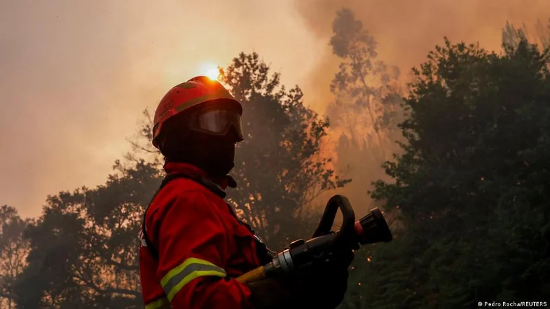 Do not inhale! How wildfire smoke 'affects the whole body'