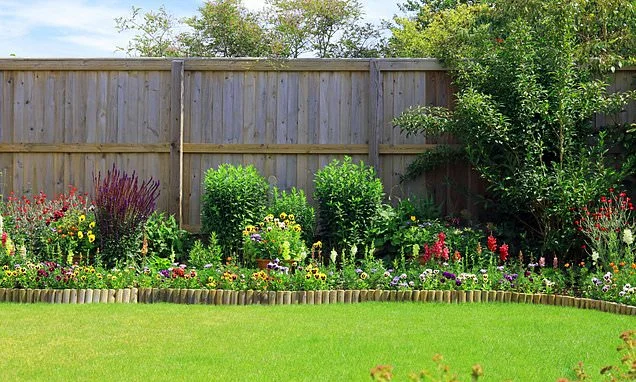 I want to put up a high fence between my house and my neighbour's: Who should pay?