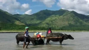 Eroding indigenous peoples' rights