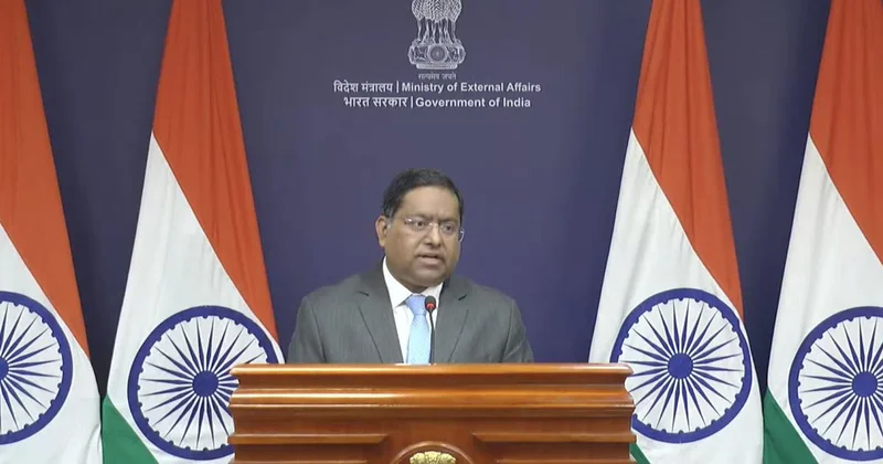 ‘Political absurdity’: India on Pakistan observing Article 370 abrogation as ‘day of exploitation’