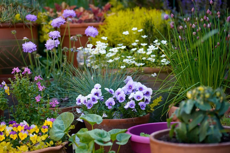 Guide to attracting wildlife into small gardens