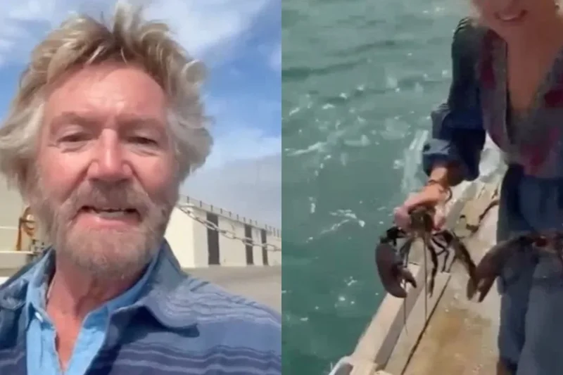 Lobstergate: Noel Edmonds and wife spark backlash after buying live lobsters from shop and releasing them into Irish sea