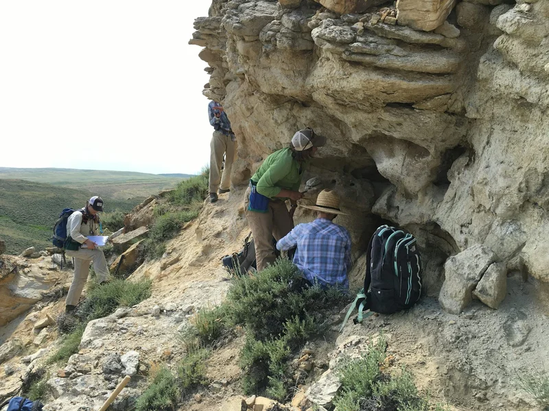 Ancient forests took 100,000 years to recover from the last global warming period similar to today – Wyoming fossils reveal what happened