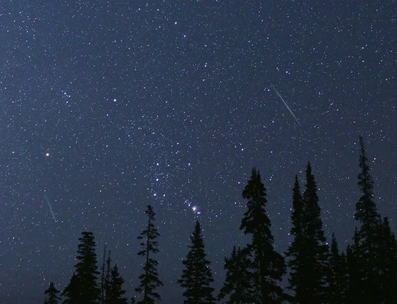 Perseids Meteor Shower