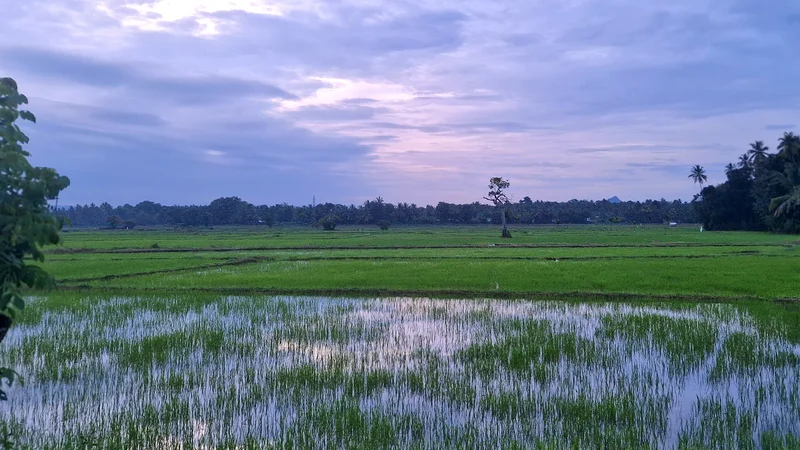 'These were harder than any other blades, cut sharper and cost more': How ancient Sri Lankans created steel of legends by harnessing monsoons