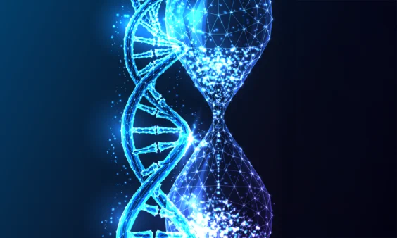 Could Physics Help Us Solve the Mystery of Aging?