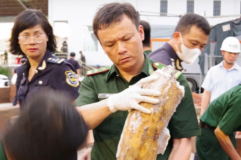 Authorities in Vietnam discover more than a ton of concealed ivory illegally shipped from Africa
