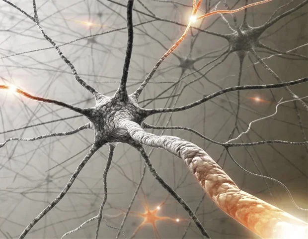 Multi-omics research uncovers new therapeutic targets for Fabry disease