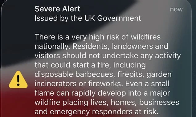 Cabinet Office report warned against overusing emergency alert system - as Burnham is accused of 'crying wolf' with 'needless' wildfire notification