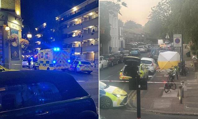 Man 'shot' outside London pub in front of horrified bystanders as police lock down street