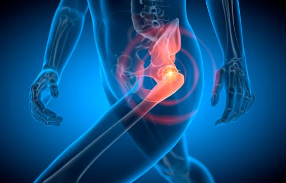 The Wonders of the Male Human Pelvis