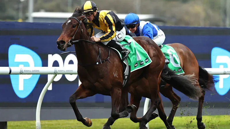 Chilly Girl ready to take flight after red-hot return in Rosebud