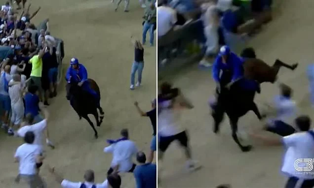 Race horse crashes to the ground and jockey is injured when fans run in front of the animal to celebrate its victory