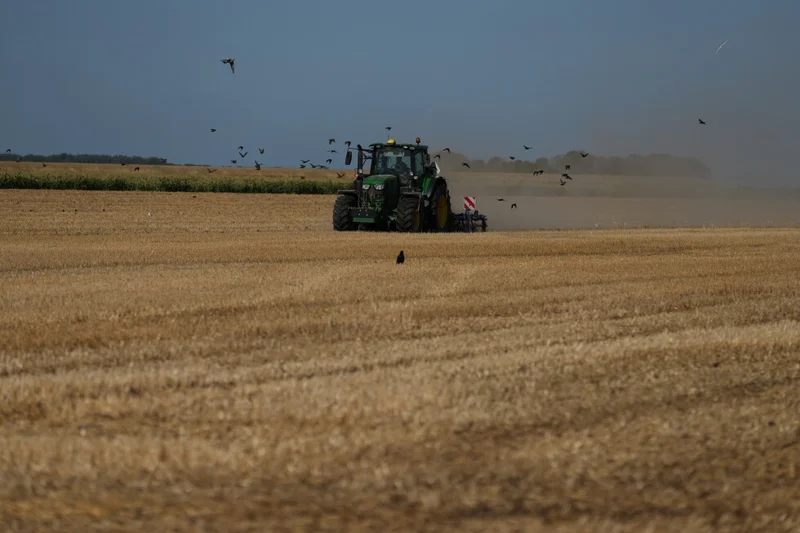 A punishing European drought shrivels crops from Dutch potatoes to Bosnian corn