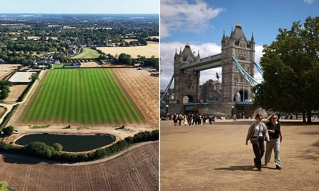Little respite for drought-hit Britain with more heat health alerts issued as temperatures set to hit 33C by next week