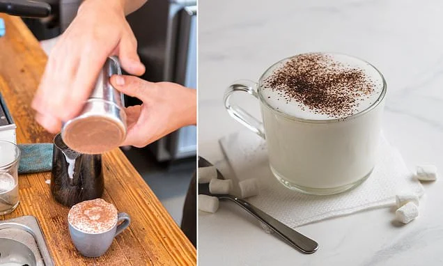 National Trust accused of ripping off parents with toddlers by charging 80p for a babyccino