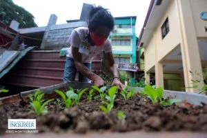 Gulayan sa Barangay at Paaralan program bill pushed