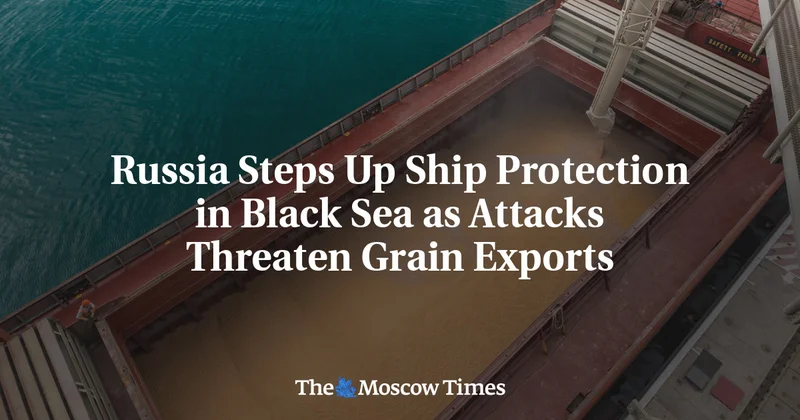 Russia Steps Up Ship Protection in Black Sea as Attacks Threaten Grain Exports