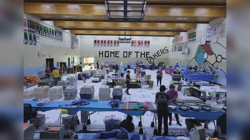Saskatchewan First Nation worried about community safety after vet clinic cancelled