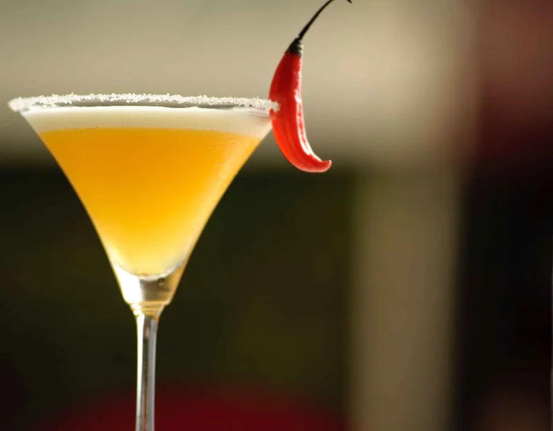 Pistilo Mexico City Bar: Pulque, Agave and Art in Roma Norte