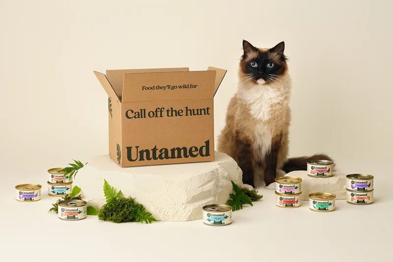 Is Untamed cat food right for your cat? What pet owners should know, from ingredients to price