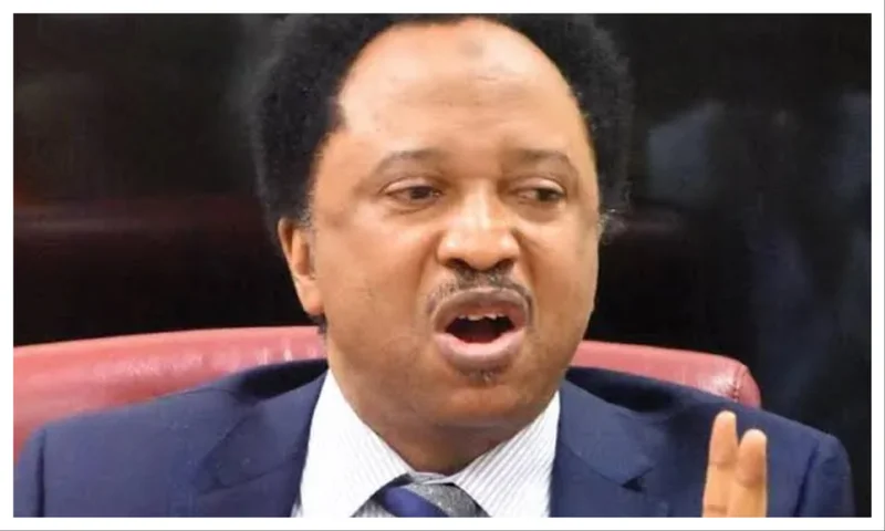 Osun Decides: Adeleke fighting for his political survival — Shehu Sani
