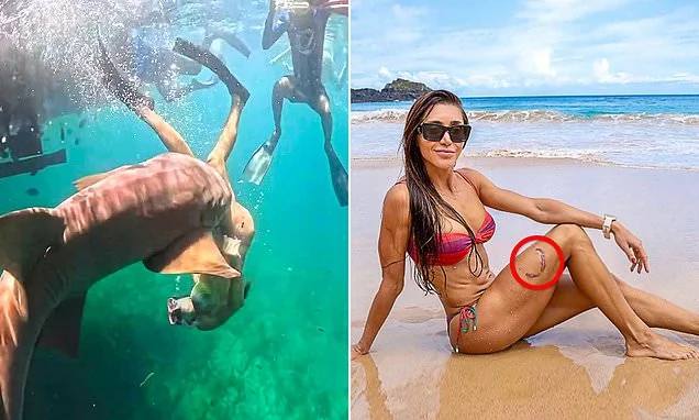 Influencers warned to stop taking selfies with sharks after series of attacks