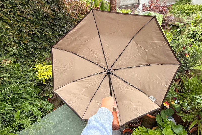11 best umbrellas, reviewed after wet and windy walks