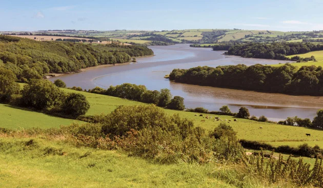 Man (50s) dies after getting into difficulty in River Bandon