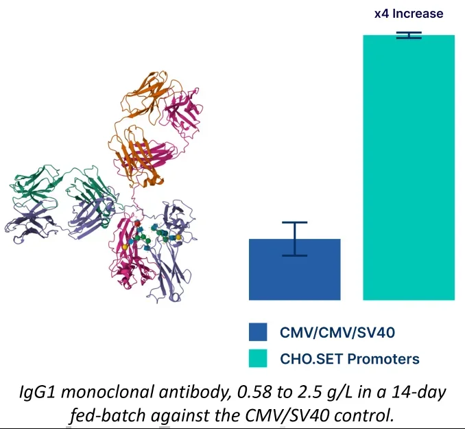 SynGenSys introduces expanded CHO.SET synthetic promoter library for enhanced biomanufacturing