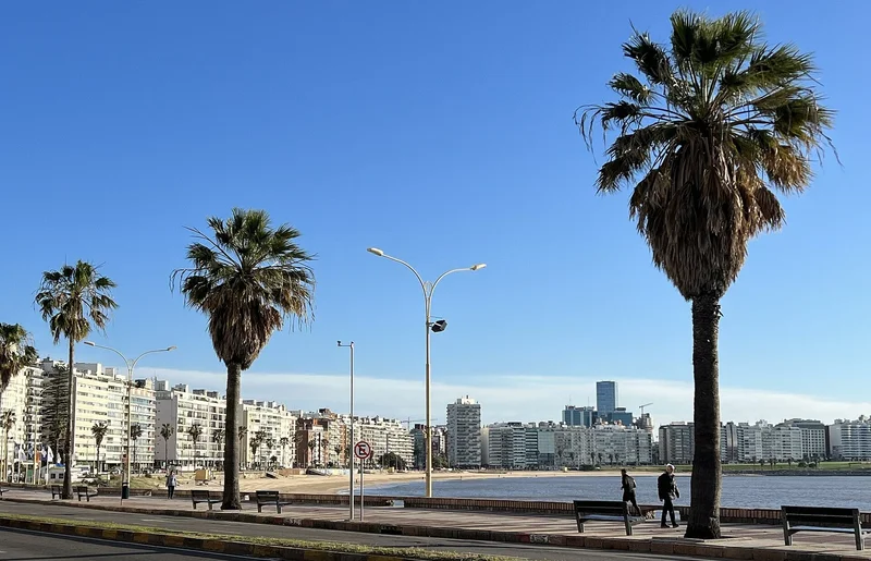 Brazilian Investment in Uruguay Has Nearly Doubled to US$4.4 Billion