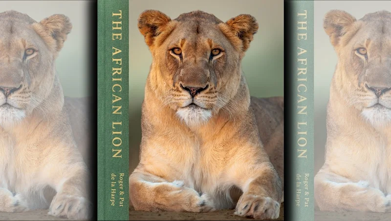 BOOK EXCERPT: The African Lion: Local wildlife photographers document Africa’s most iconic predator