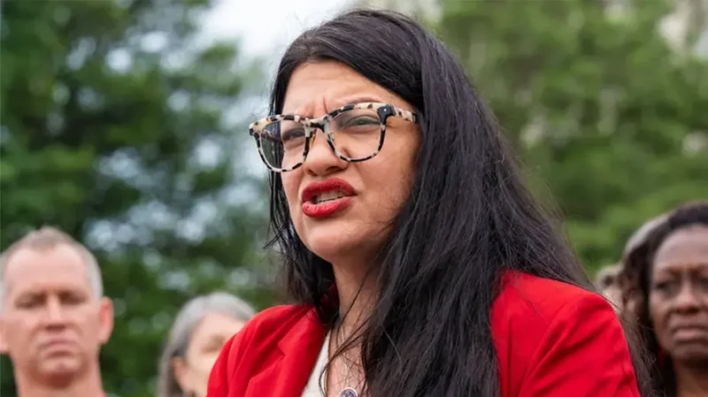 Tlaib under fire for working to unseat two Jewish House Democrats in Florida: 'No coincidence'