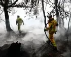 Without action wildfires in Europe will increase 39% even in best-case climate scenario, study finds