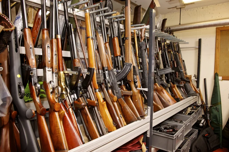 Federal Police Ask Moraes to Rule on Bolsonaro’s Seized Weapons