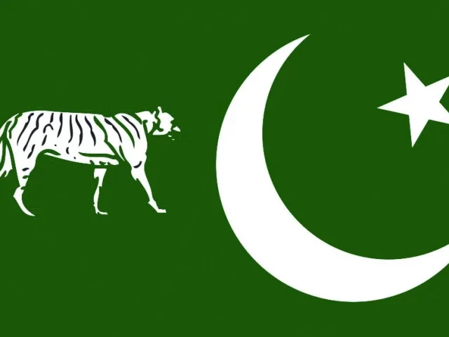 PML-N secures 25 seats as AJK poll process concludes