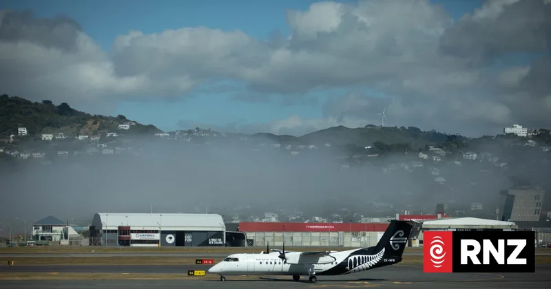 Flights cancelled as fog hits Wellington Airport