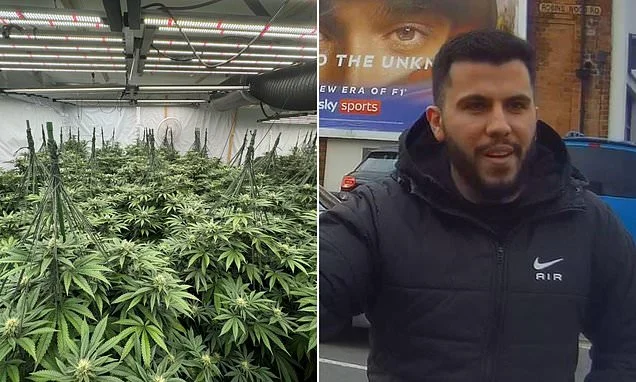 Is there an Albanian cannabis farm on YOUR street? Our six-month investigation identified HUNDREDS of illicit sites across the country... and most are in residential homes. This is how they do it