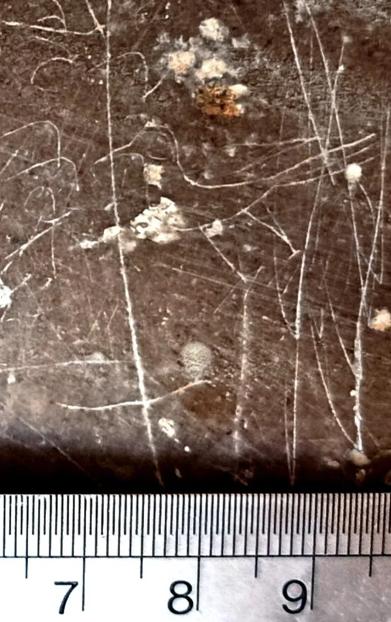 Rock art: Tiny Sasanian bird motif discovered in southern Iran