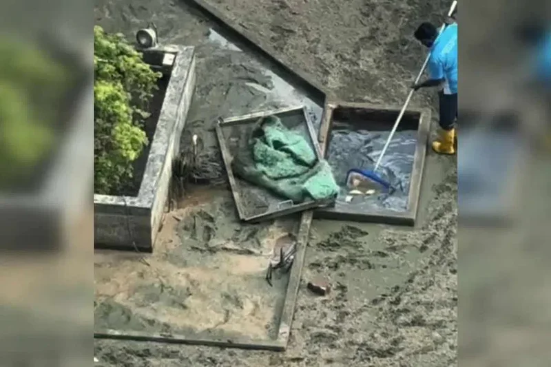 ‘No evidence of intentional cruelty’ in pond-cleaning incident that resulted in fish deaths: NParks