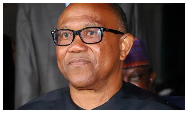 2027: Obi needs wider northern acceptance, not youth endorsement – Analyst