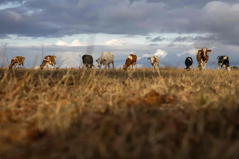 El Nino to be 'biggest for over a century': UK Met Office