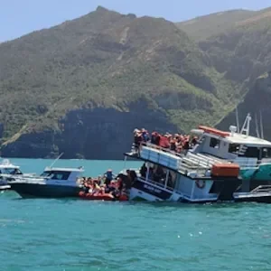Black Cat grounding: Crew member noticed an ‘unusual’ route before hitting rocks